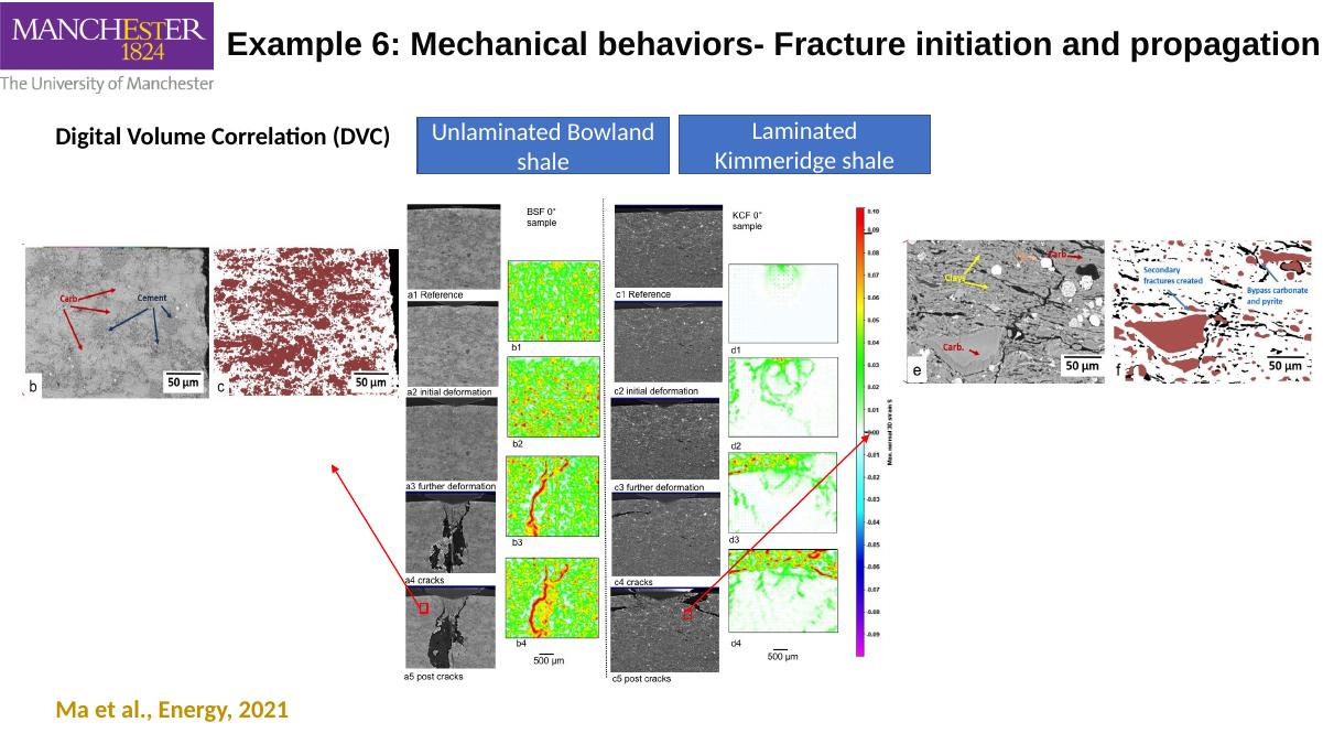 Where fractures begin—and why research example