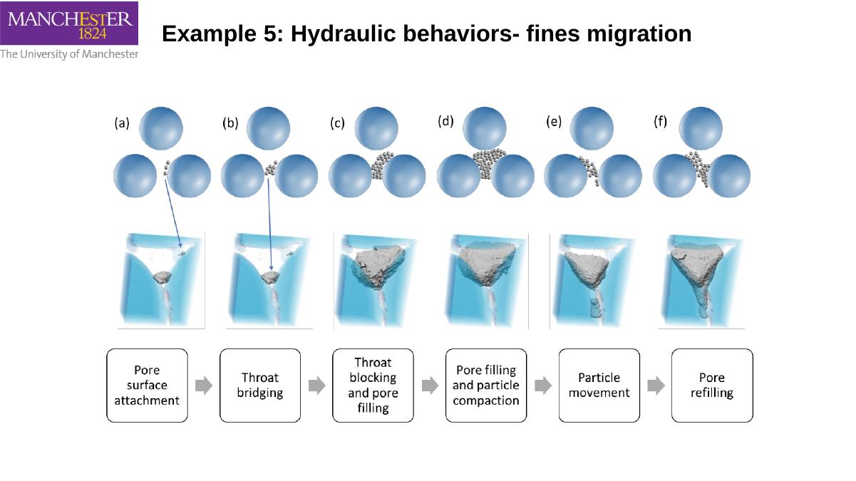 How particles block and reopen pores research example